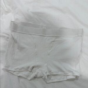 Aritzia White boxers